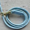 Light Blue Soft Leather show lead with Gold clip