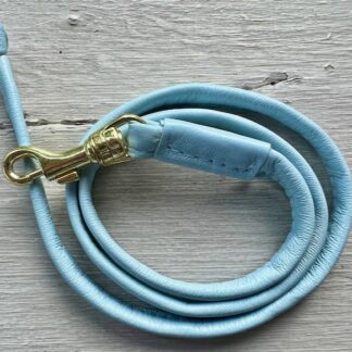Light Blue Soft Leather show lead with Gold clip
